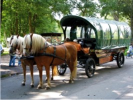 Wagonette bis zu 17 Personen