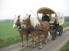 Wagonette bis 6 Personen